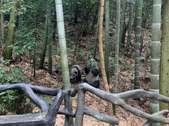 -石燕湖生态旅游景区