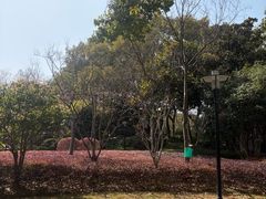 -徐家汇源景区-衡山公园