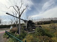 -上海长兴岛郊野公园