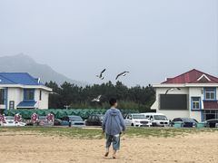 -海驴岛(荣成市)