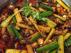 香辣牛蛙-胖锅轩(水塔店)