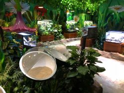 -酷嗒动物文化乐园(cutezoo西溪乐天城店)