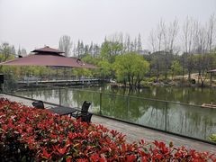 -梅林春晓花园餐厅