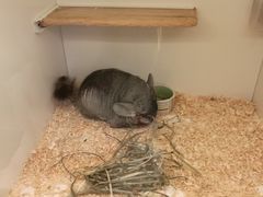 -龙猫仔乐园(惠福东路店)