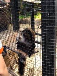 -酷嗒动物文化乐园(cutezoo西溪乐天城店)