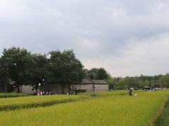 -北坞公园