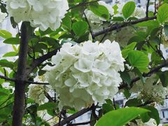 -大龙山(地铁站)