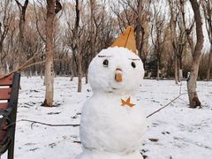 -大兴滨河森林公园