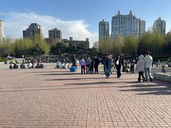 -凤凰中心