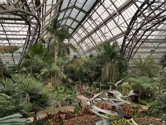 -南山植物园