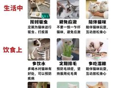 -爱侣宠医·鹦鹉专科·小型哺乳类·异宠专科(灵石路店)