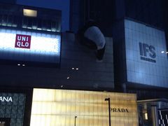 -徐妹串串香(春熙路店)