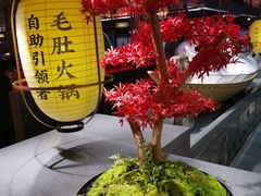 -芝小官毛肚火锅海鲜自助(淮安清江浦区新亚店)