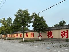 -大槐树寻根祭祖园