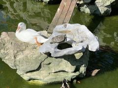 -龙华寺