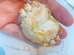 -半岛听涛蒸汽海鲜自助(K11店)