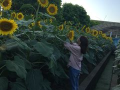 -广州花之恋城堡酒店