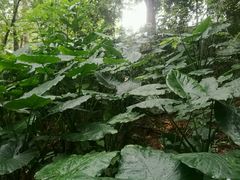 -畔山酒店中餐厅