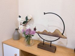 -颜和骨正·明哲式骨相美学整骨