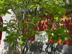 -红螺寺