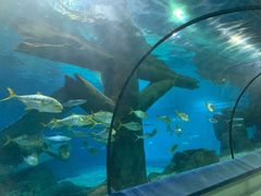 -福州罗源湾海洋世界旅游区