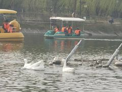 -西安汉城湖景区