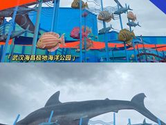 -海合安武汉极地海洋公园