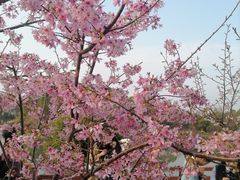 -艾溪湖湿地公园