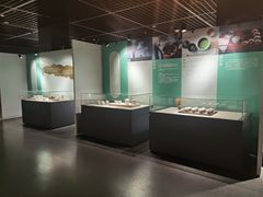 -马鞍山市博物馆