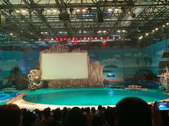 -华夏文旅海洋公园