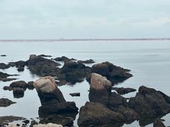 -养马岛旅游度假区