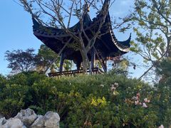 -上海滨江森林公园