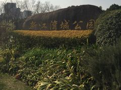 -新江湾城公园