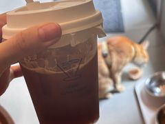 -Again Coffee Roaster(香蜜湖店)