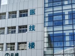 -中国中医科学院望京医院(院本部)