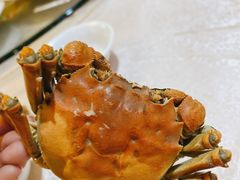 -中南酒店(人民大道中店)