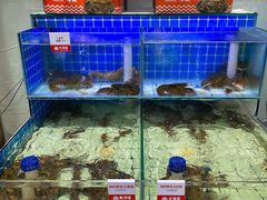 水产区-大锅强·蒸海鲜青岛菜(吾悦广场店)