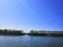 -大兴滨河森林公园