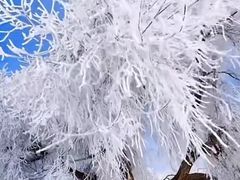 -雾凇岛