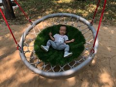 -北戴河集发农业梦想王国