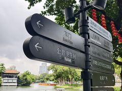 -荔湾湖公园