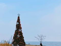 -苏州太湖国家湿地公园