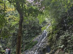 -七仙岭温泉国家森林公园