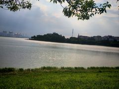 -九龙湖公园