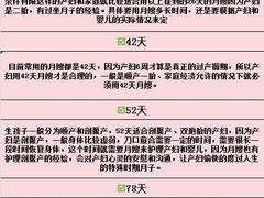 -妇贵宝月嫂育儿嫂(北京总部)