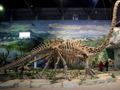 -自贡恐龙博物馆