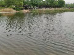 -永定河休闲森林公园