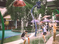 -苏州乐园森林水世界