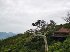 -三亚亚龙湾人间天堂鸟巢度假村