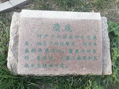 -北京麋鹿生态实验中心